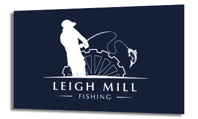 Professional logo design service in Essex