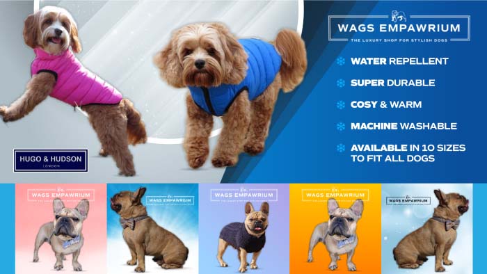 Wags Empawrium Facebook & Instagram Marketing Campaign