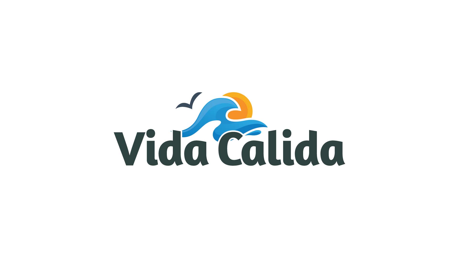 Vida Calida // Logo Design